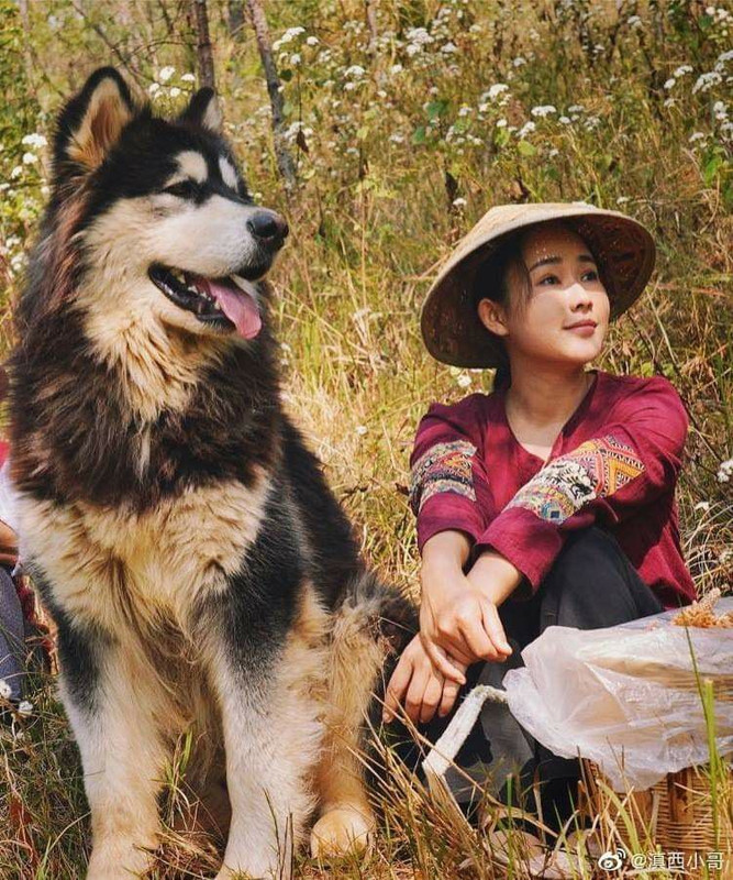 97d9f2925cebb75192d3e5fa3618e219