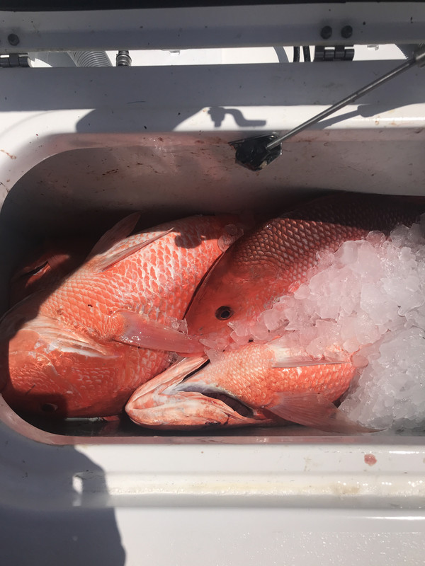 3E44BB94-EC2B-4810-8DA7-18CBCE6662B7