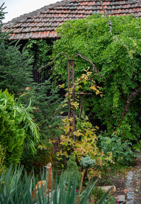 IMG-188c37f0b0134380fdd987002fec5a76-V
