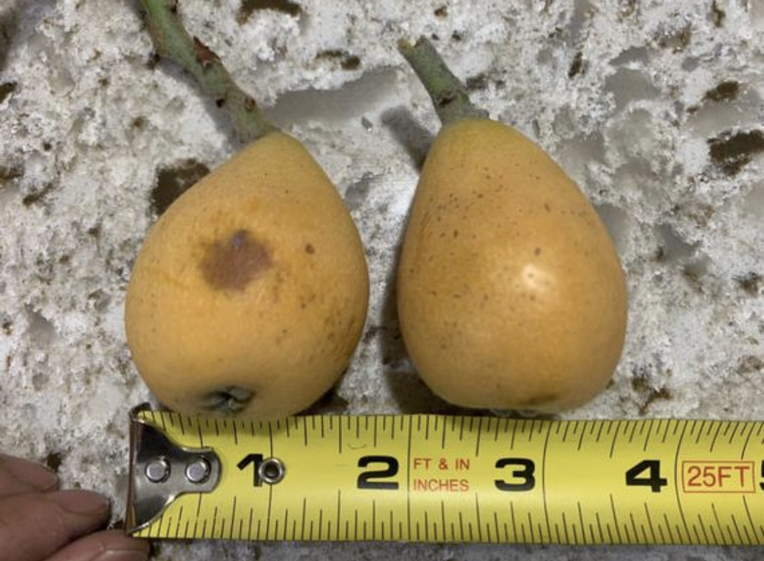 1D64D68C-1108-4B8F-9A8C-549EA09927C6