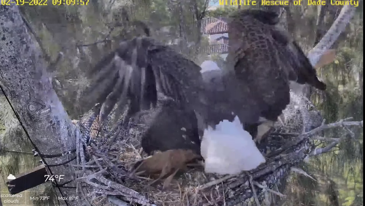 ACEAE035-56F2-4CA4-8834-32DC7FD757F2