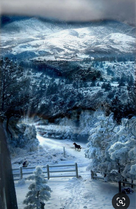 Screenshot_20231101_225251_Pinterest