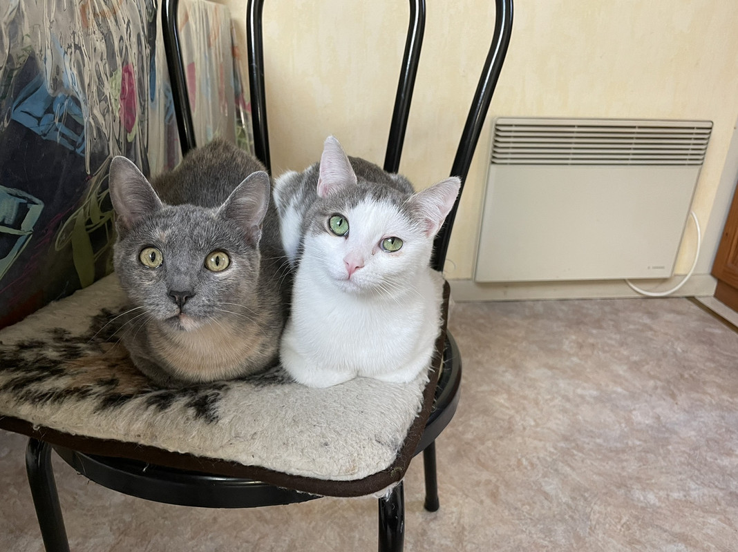 68B78495-7427-42BF-A6F3-B5D7D9900BD6