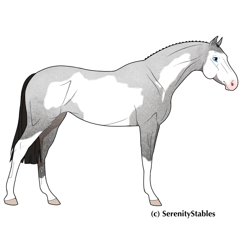 Untitled49-20241110210016.png