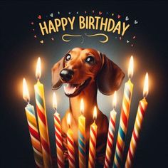 [Image: d38cc19e3200417cc4d56a01c06f0887.jpg]