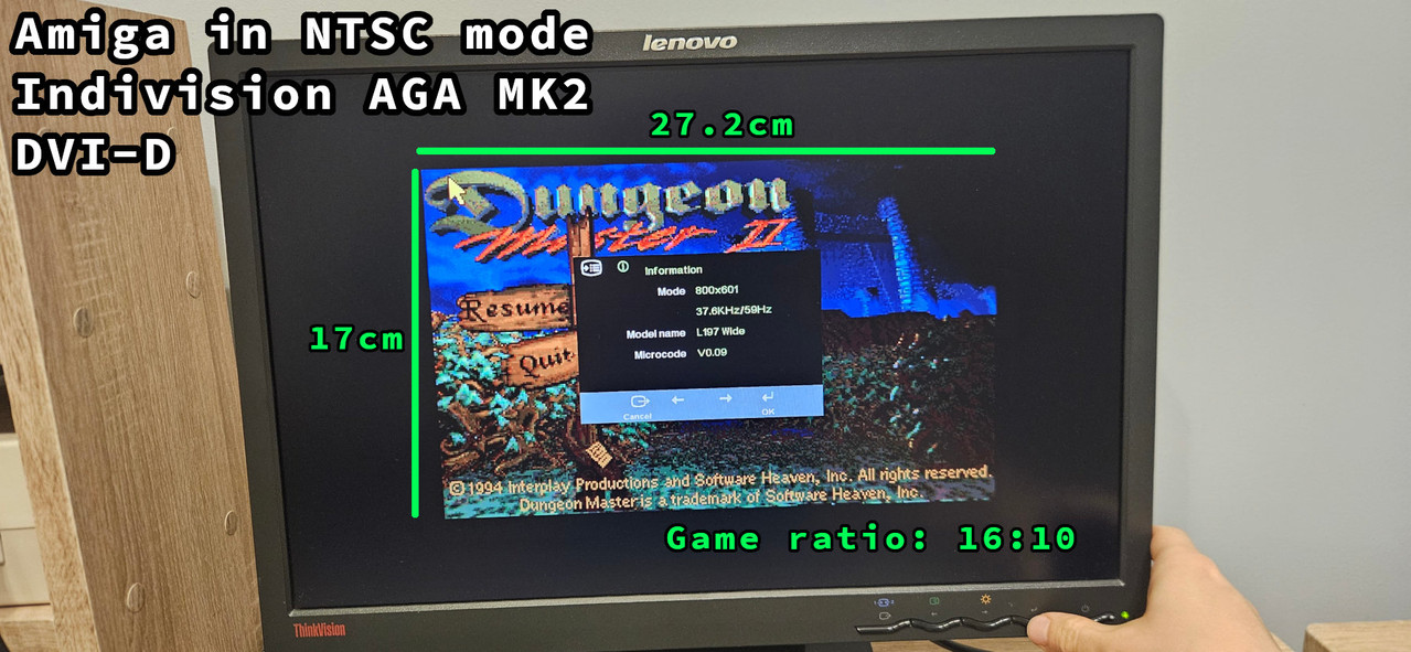 amiga indivision dvi ntsc