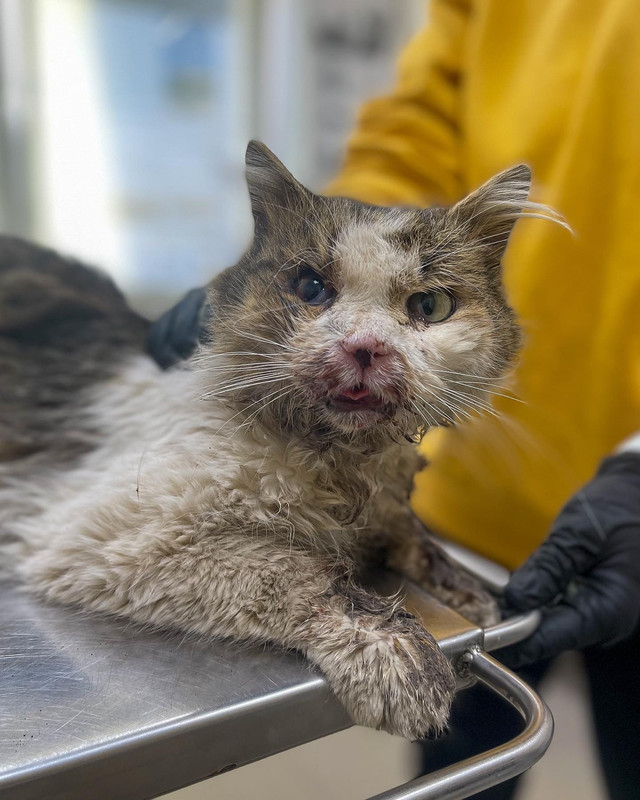 BBDAC5EC-2E0B-45FC-AA22-11D9768FB6C5