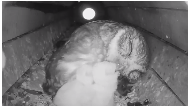 2018-05-13_080911 másolata