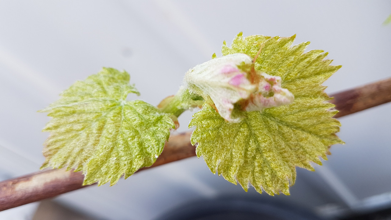 20190305_124458