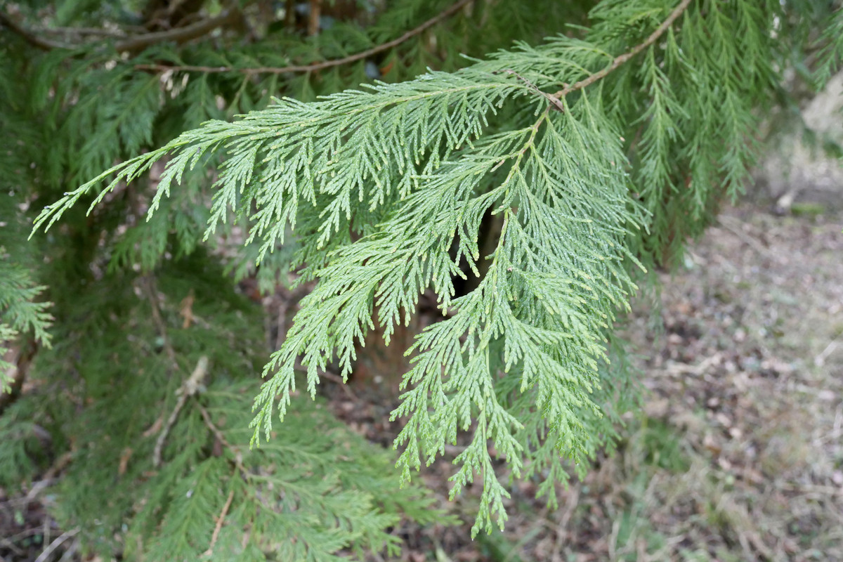 B5F915E0-73E2-4AEB-806A-B421CCCB883F