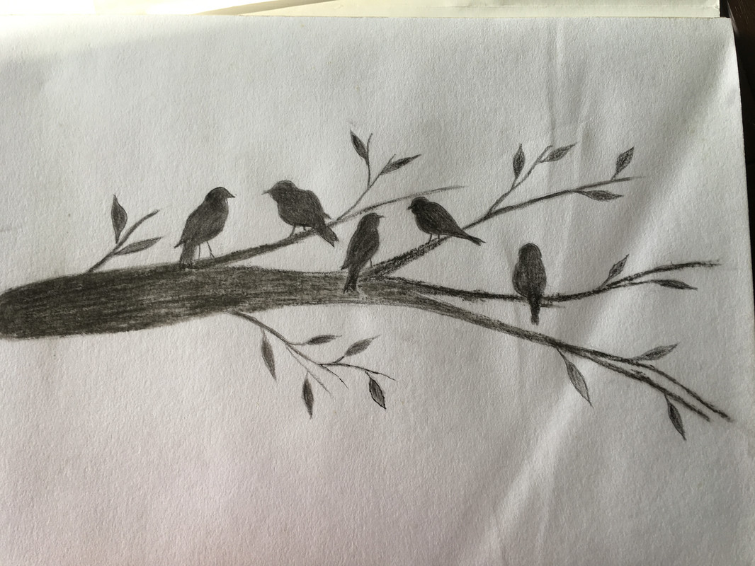 53873815-E373-4BF5-862E-D5A33E20D472