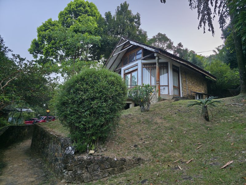 20250216-065246.jpg
