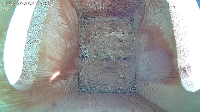 9F76E8CA-8744-4074-95CB-F1EF7F5E6AF6