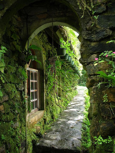 Greenarch.jpg