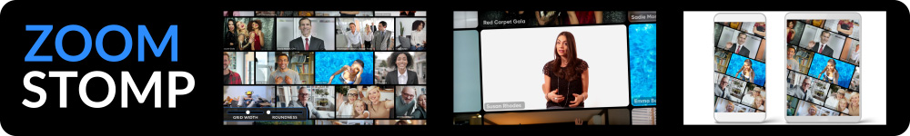 Zoom Views: Online Video Conference Toolkit - 5