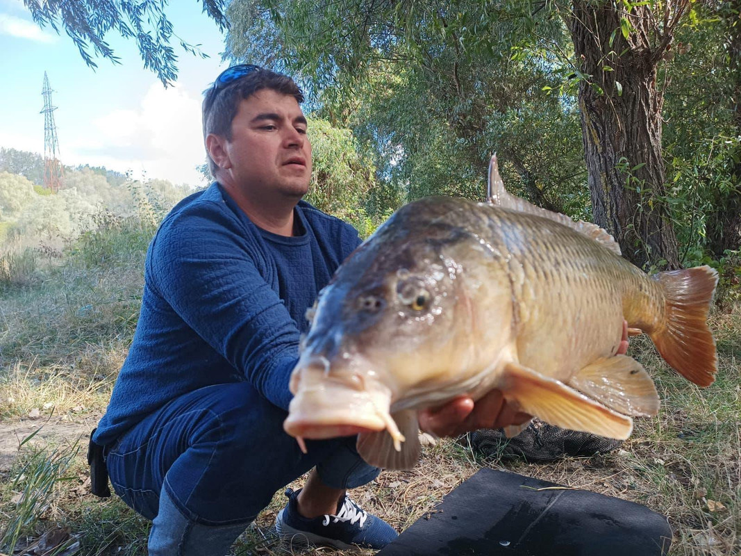 98B650AA-F95F-4B8F-994D-7AEDC3311D6E