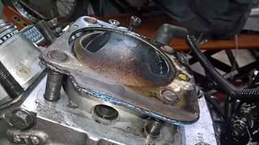 WP_20230323_16_26_44_Pro_LI (Copy)