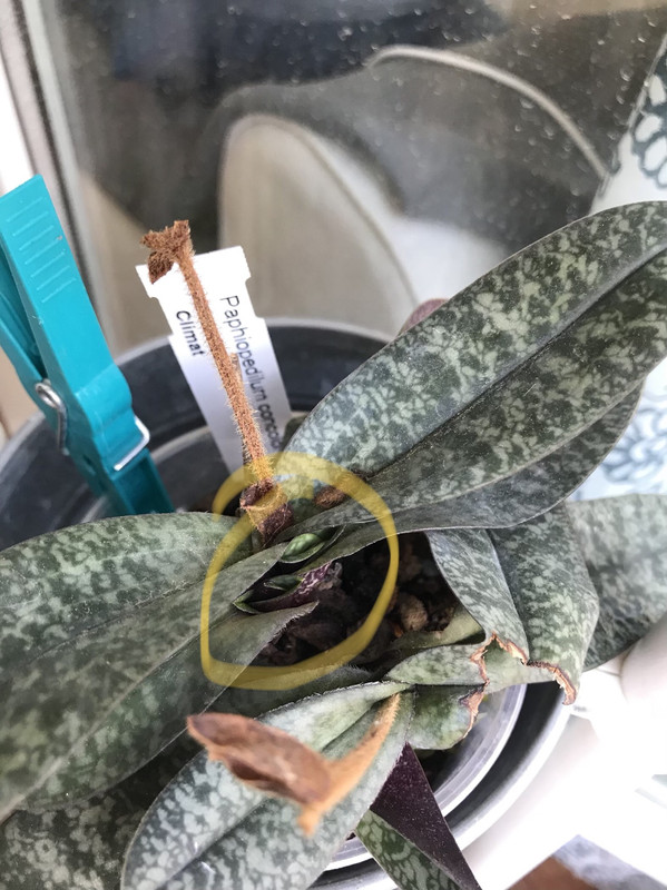 F0ECB0EF-5EF6-4021-980C-38CEE7713C39