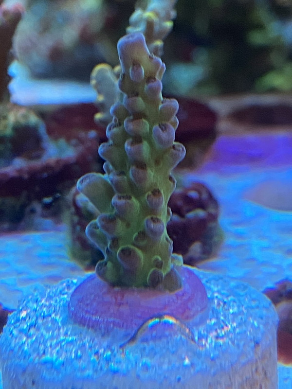 A9730F99-977F-43A4-BADB-539D524EF413