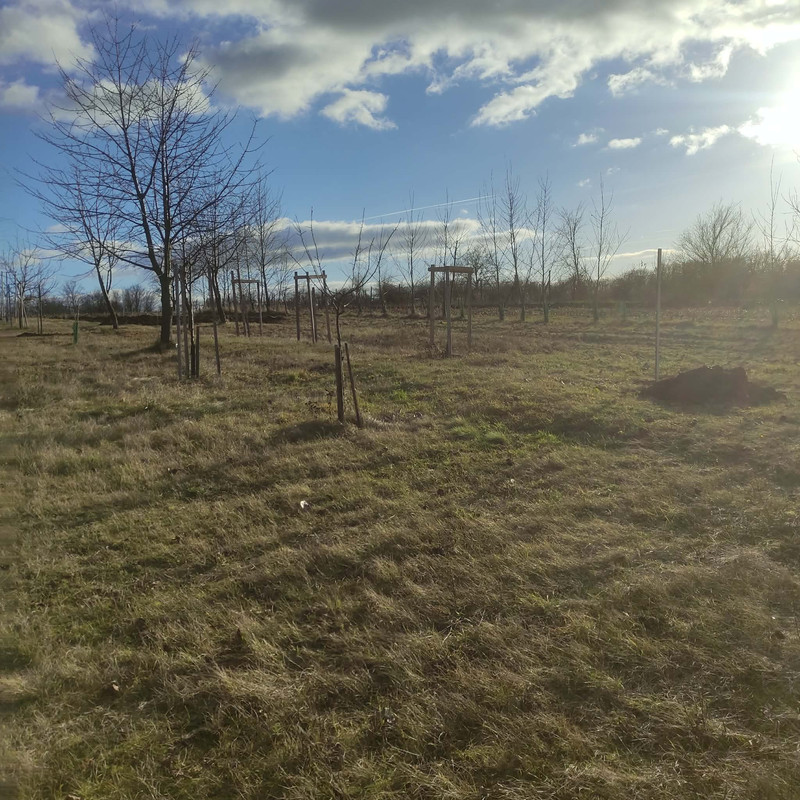 606944288 1410931927283297 746322663260729303 n