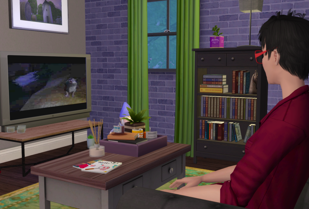 Sims2-EP9-RPC-2021-11-16-20-54-20-71