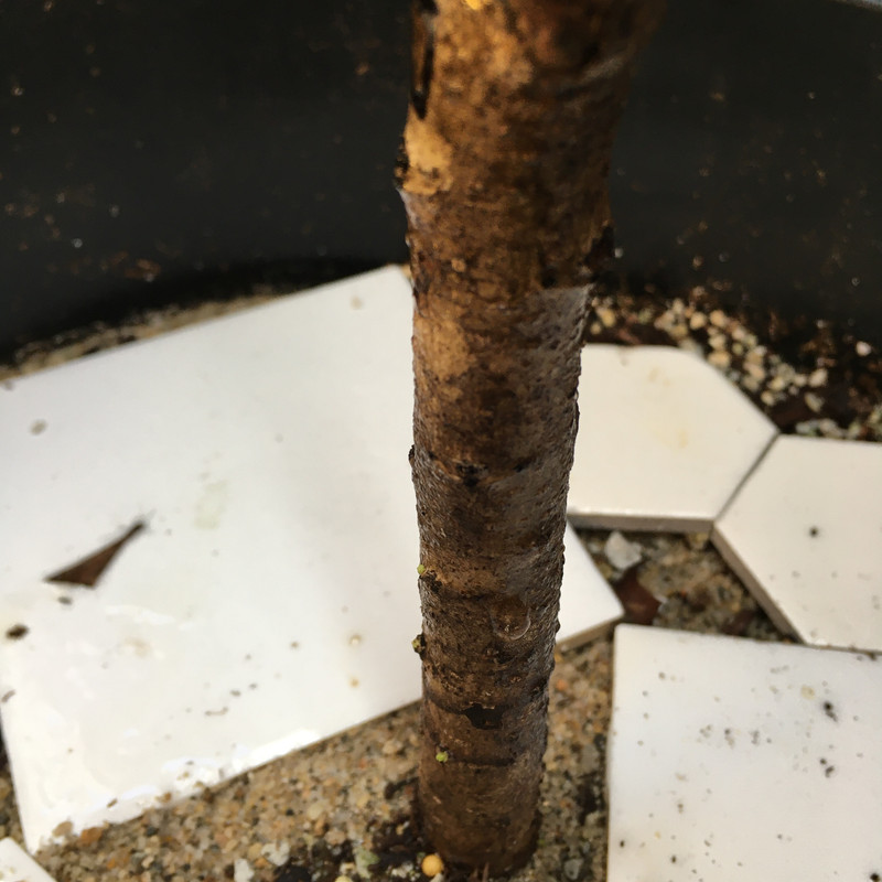 0A36CFA6-EEC5-424B-BD52-863A108B0131