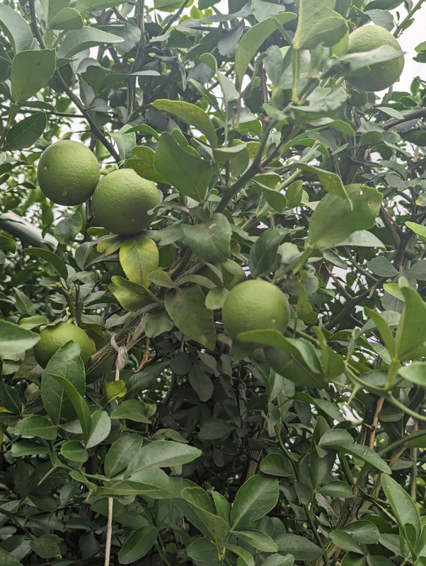 PXL_20230828_173641766
