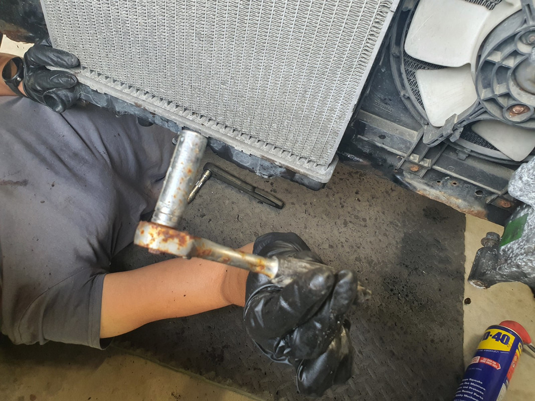 20211201_101219 (Custom)