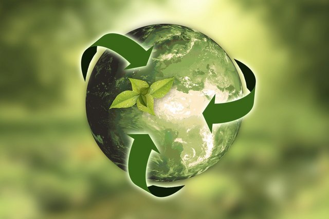 environmental management service