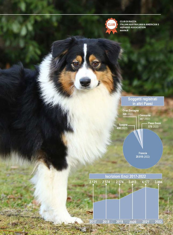 Il M C Mag-Giu 2024 (4)