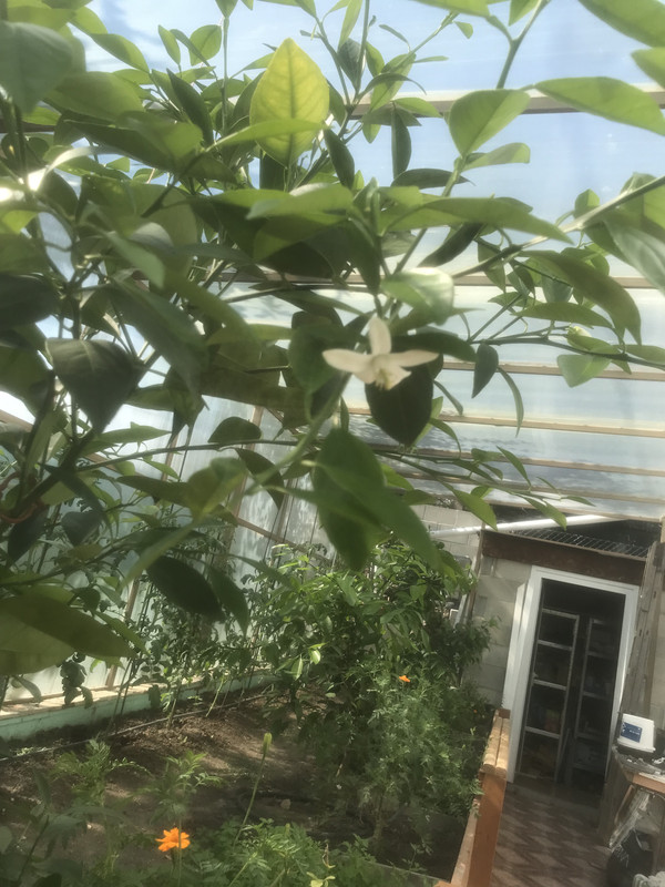 FE724F9E-3737-4B5D-A5C5-5E0F35F9A540