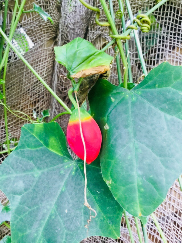 0A2D0594-BA90-4AD8-A775-49290FB789C3