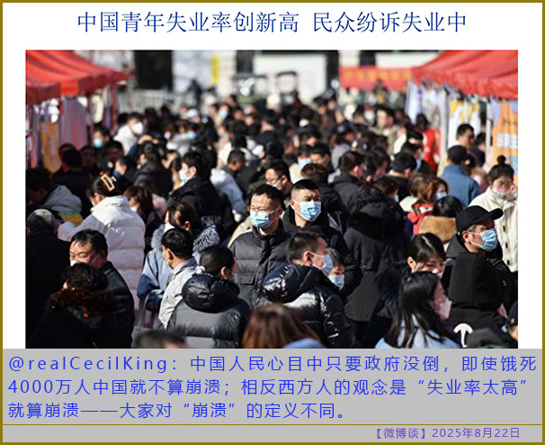 https://i.postimg.cc/Rh9qkLGJ/20250822-bt-9.jpg