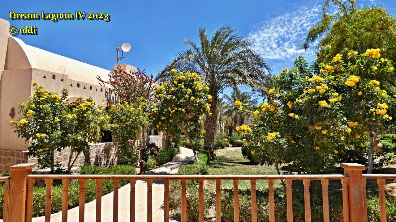 Shams Alam (2)'