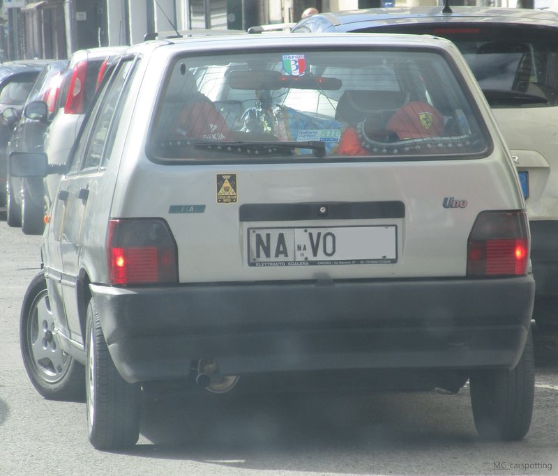 IMG-6641.jpg
