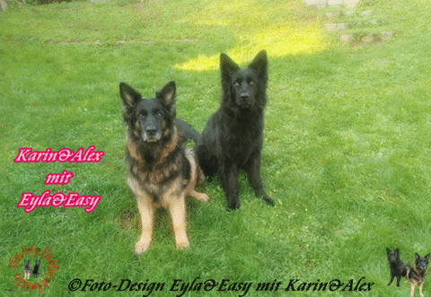 Eine-gute-Zeit-im-November-GB-14-11-2025