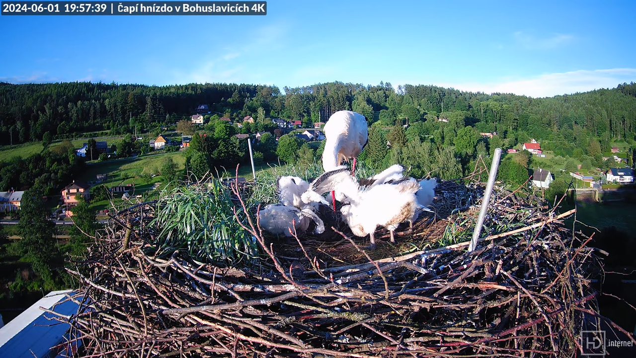 Tiešraidē no uzņēmuma KARA stārķa skursteņa Bohuslavicē pie Trutnovas 12-30-4 screenshot