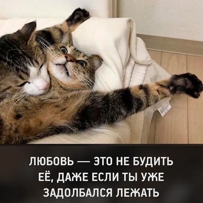 706acd4810bdc692c0ee4f7d30a433c9