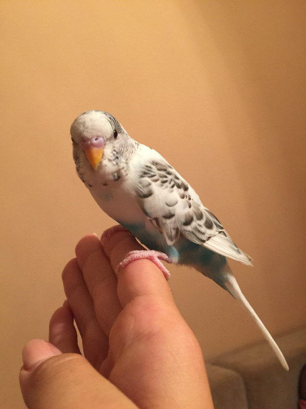 620D21FE-2906-4C6F-99DA-DC068C48343E