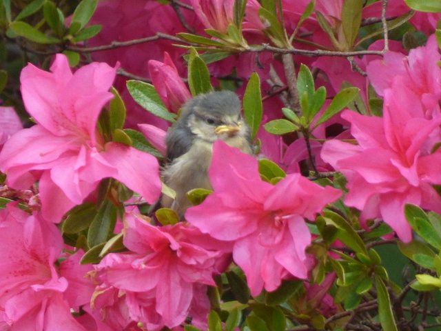 79F69EF6-9331-4E27-8377-B3232B81DD3B