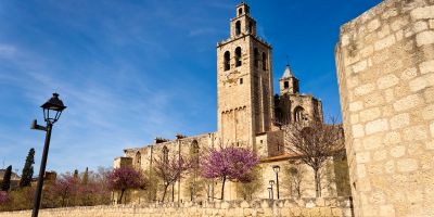 Customer Satisfaction expert