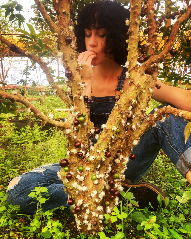 E86606C3-0358-4C09-AE26-1BA60DE01223