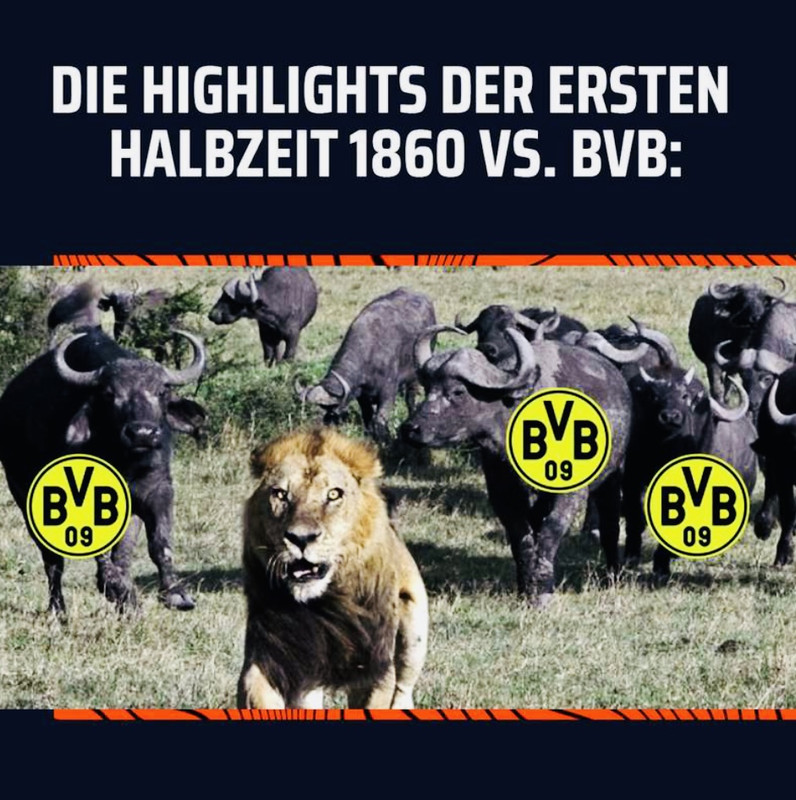 D3178CE4-A16E-461E-919E-56685DE4A01E