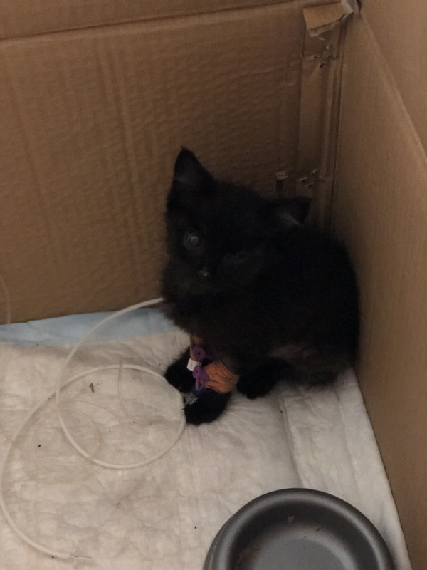 D231460B-0FB8-444F-A6C9-9E324081265E