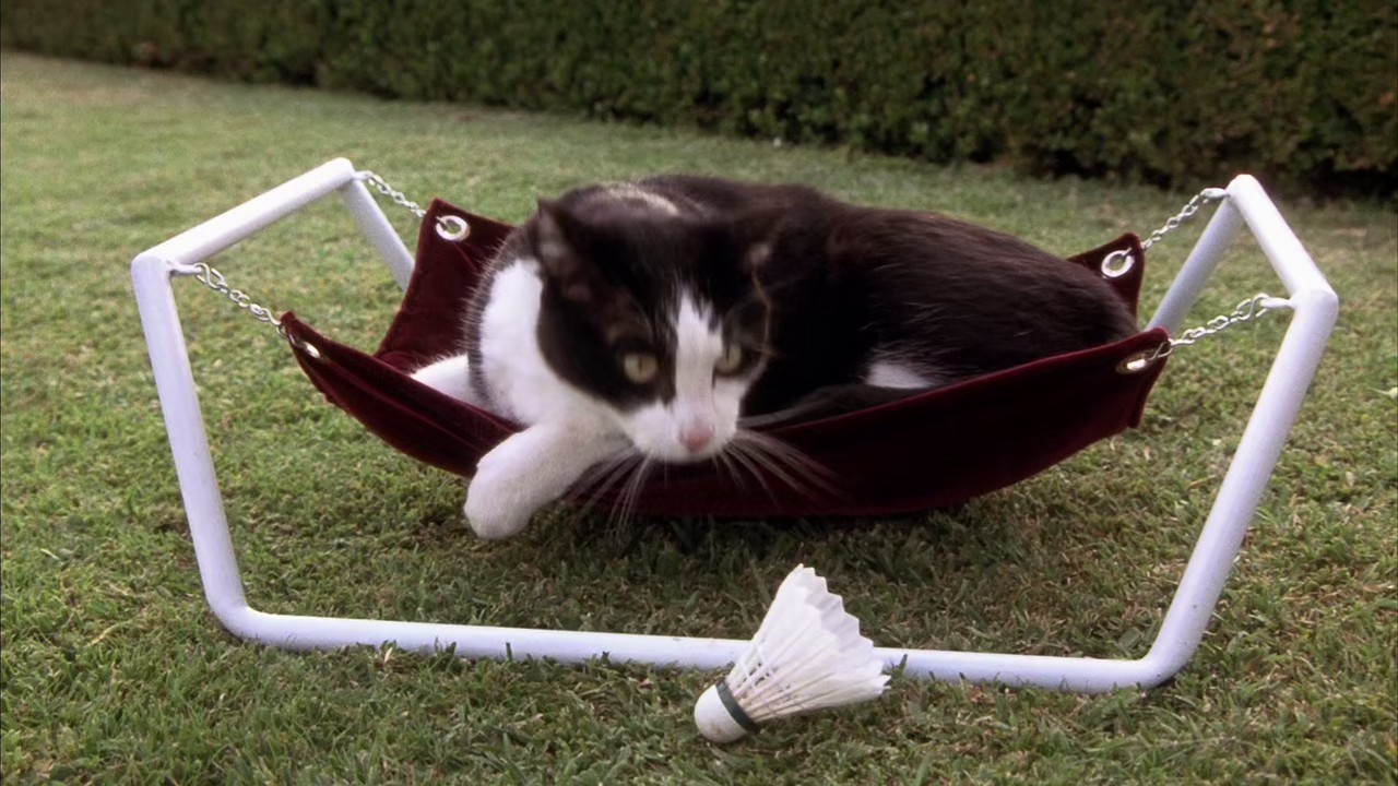 The-Princess-Diaries-2-Royal-Engagement-2004-Hindi-English-720p-x265-HEVC-AAC-6ch-ESub-mkv-000