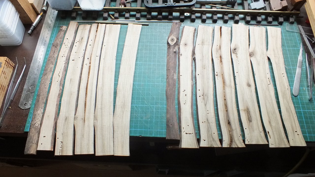 Parkside (139) Walnuß