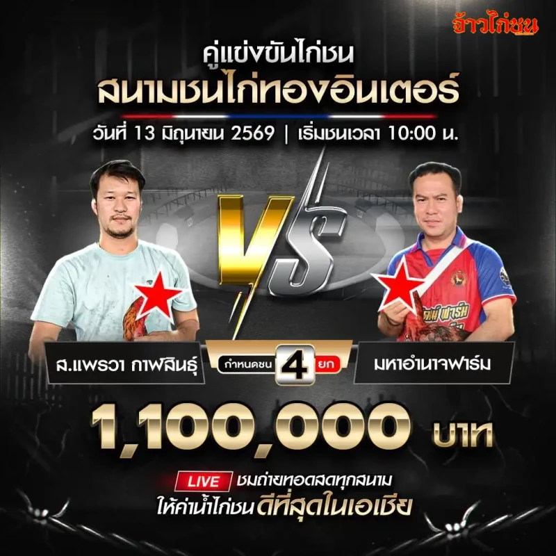 ส.แพรวา กาฬสินธุ์ vs มหาอำนาจฟาร์ม สนามชนไก่ทองอินเตอร์ 13 มิถุนายน 2569