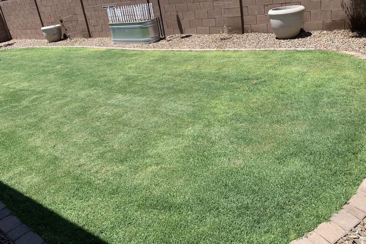 385E28F3-AEFB-41AC-A83C-F38CDA495D0E