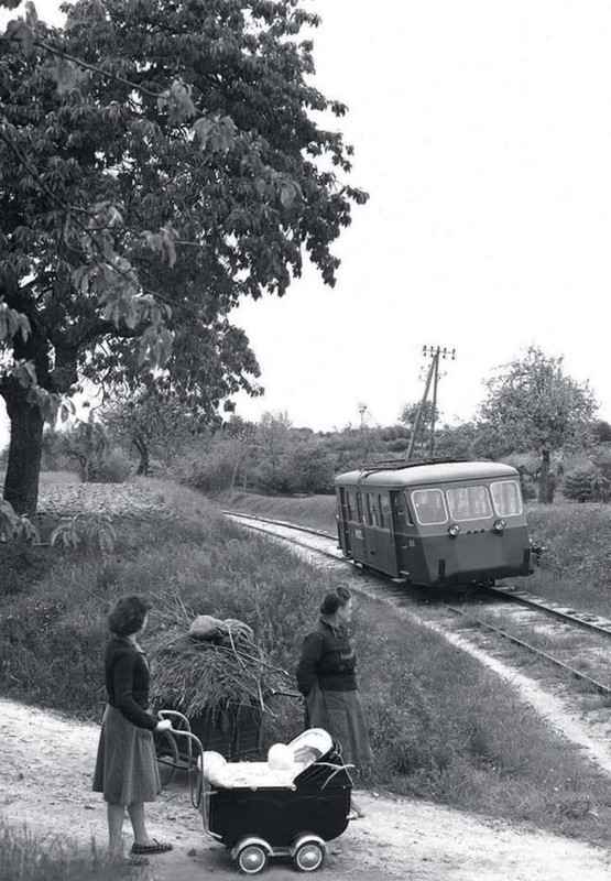 1A56F3B5-3A6C-4E03-B595-CB5E45493402