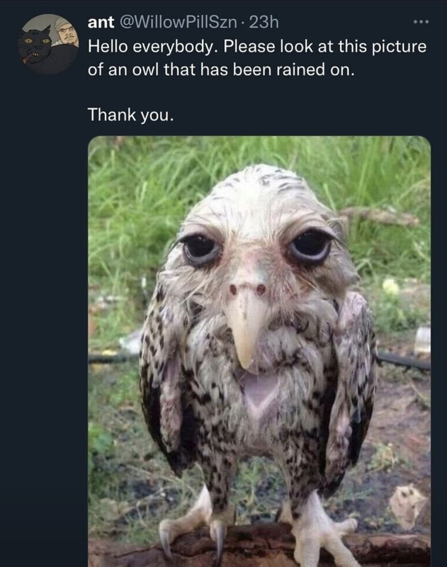1670992936083910.jpg